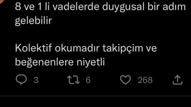 Buradaki 8 ve 1 li vade ne anlama geliyor arkadaşlar?