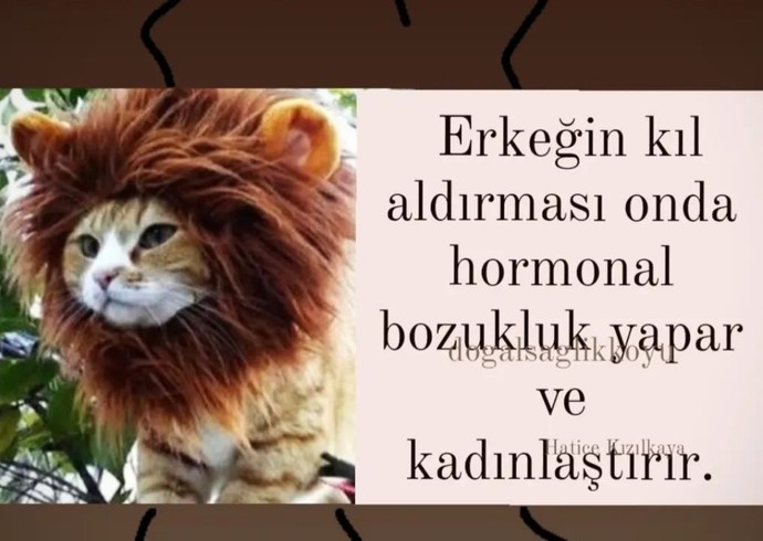 Erkeklerin kadınsı şeyler kullanmaya başlamaları bundan dolayı mı?
