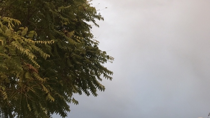 Hava kötüye gidiyor eve mi gidim kafeye gitmeye devam mı edim?