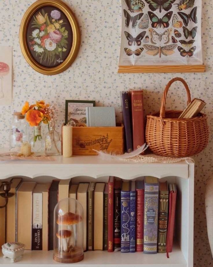 Kitaplığa kitap dışında şeyler de konulabilir mi?