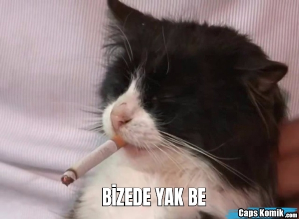 Erkekler kalp yerine ne taşıyor olabilir?