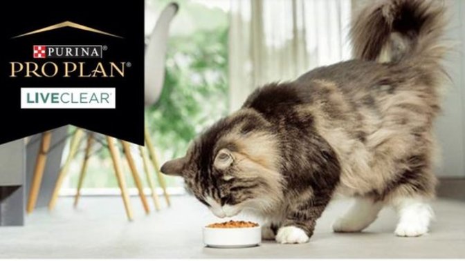 En iyi kedi maması hangisi?