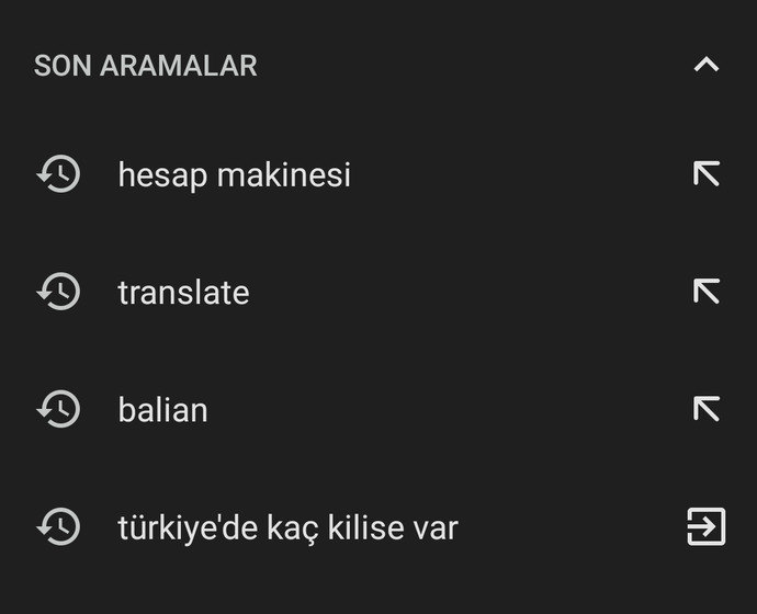Google'da en son neyi aradınız?