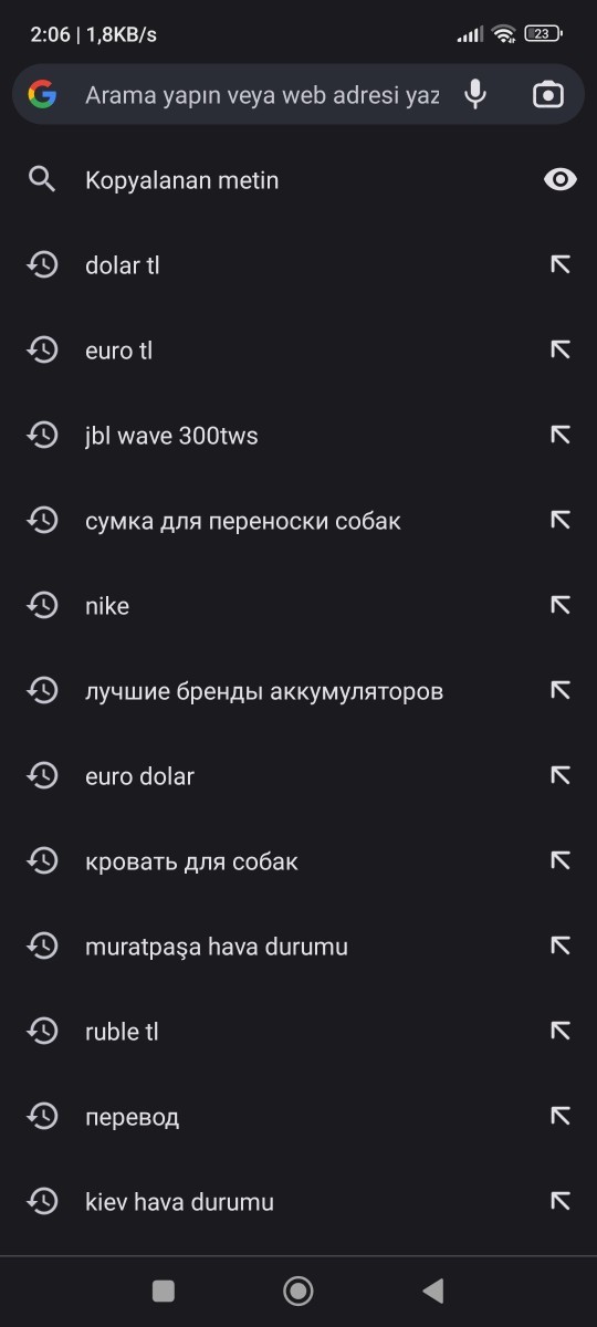 Google'da en son neyi aradınız?