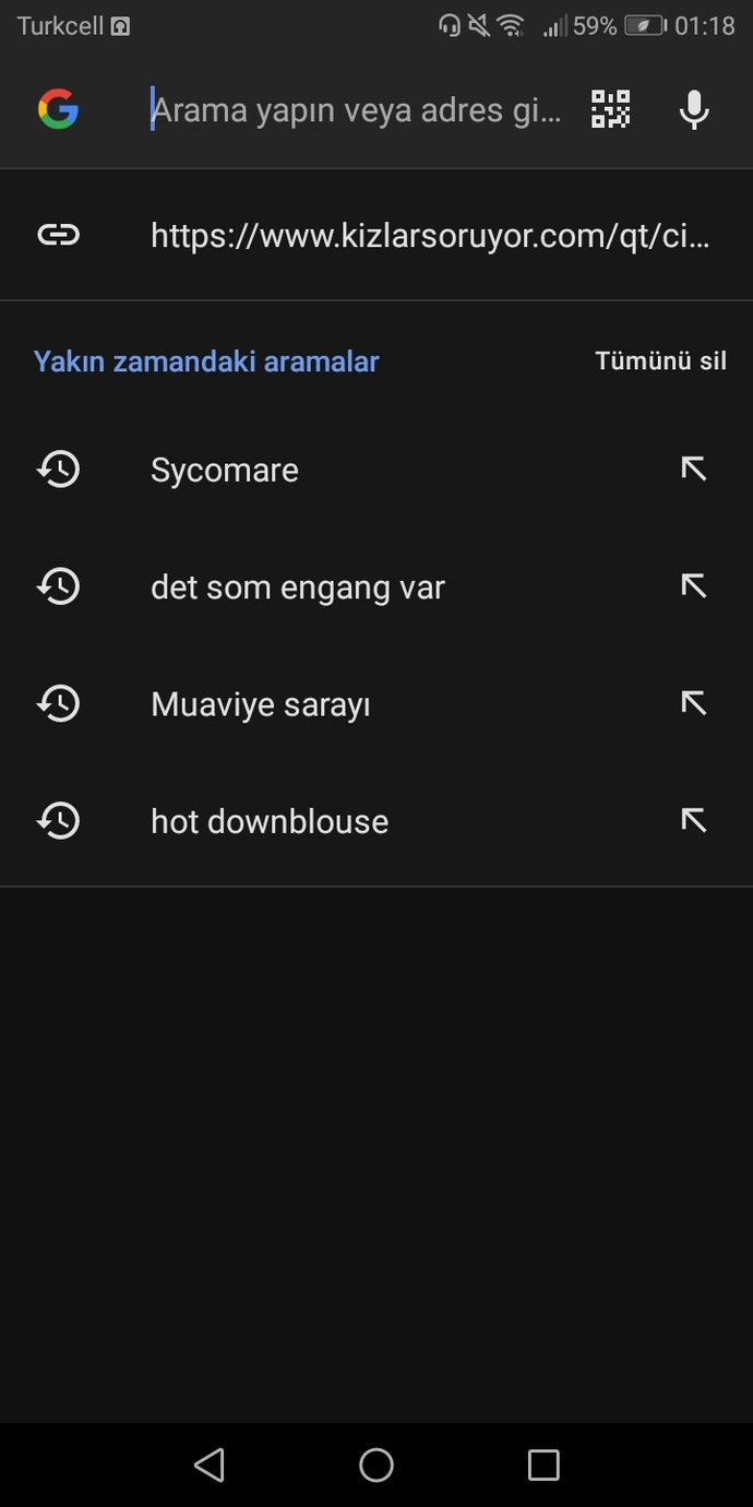 Google'da en son neyi aradınız?