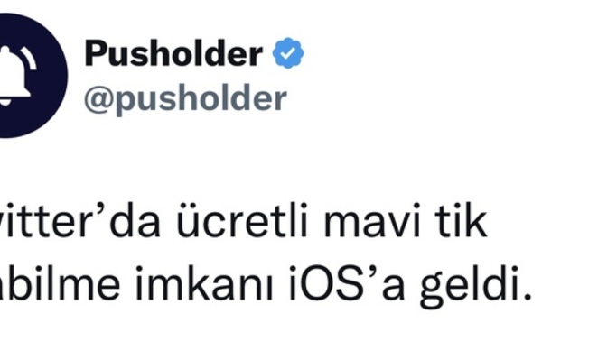Siz Twitter’da 8$ karşılığında mavi tik alır mıydınız?