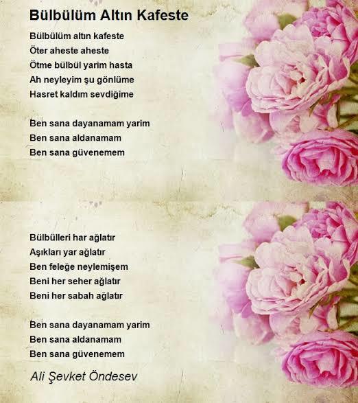 Atamızın sevdiği şarkı ve türkülerden hangisini seviyorsun?