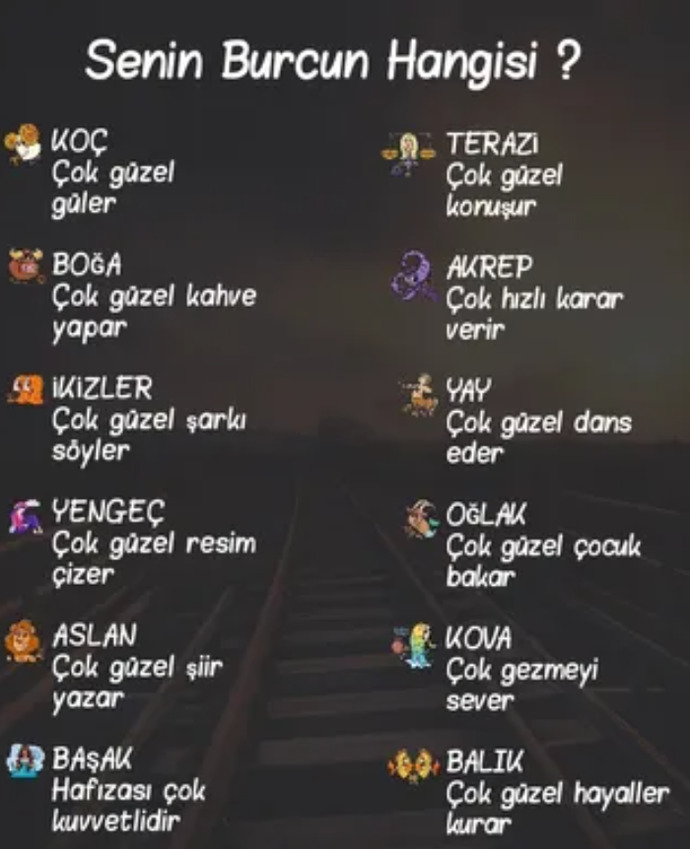 Senin burcun neyi çok güzel yapar?