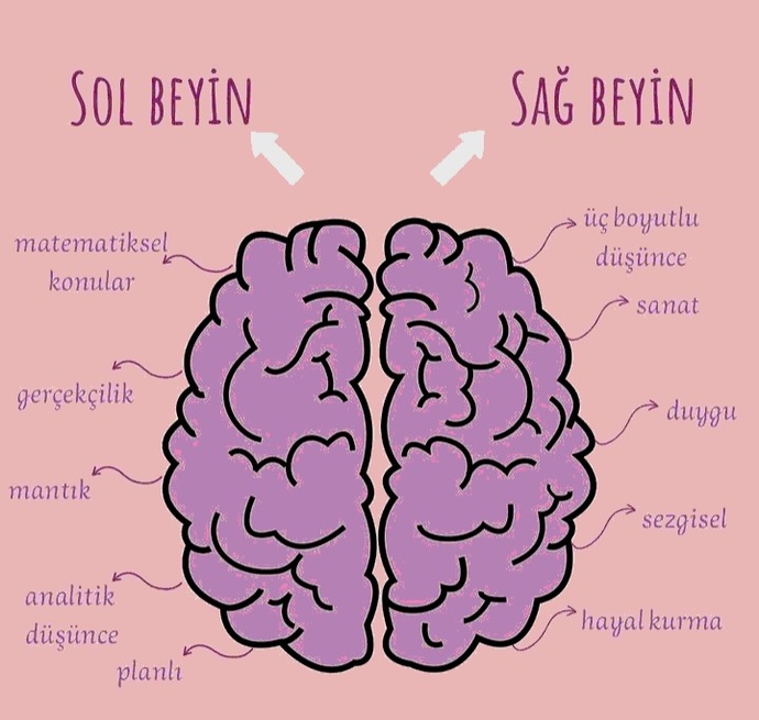 Sağ mı.. yoksa sol mu..🤔hadii seç artık..😅