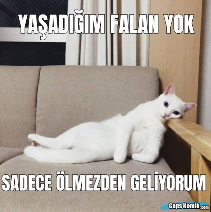 Hayattan bezdiren şeyiniz nedir?