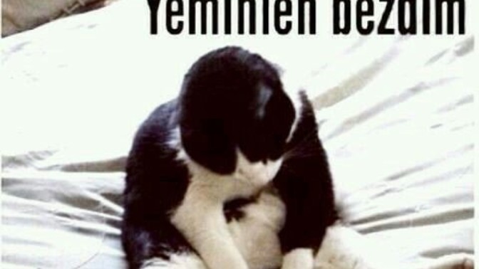 Hayattan bezdiren şeyiniz nedir?