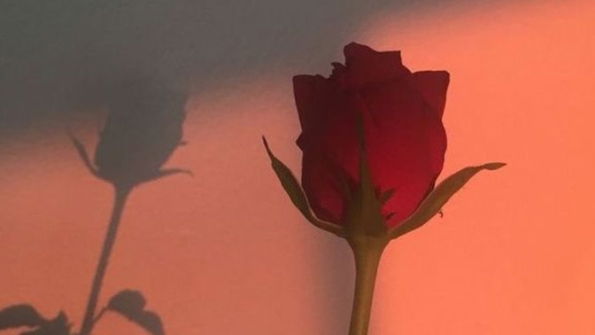 Aşk hayatın istediğin gibi mi gidiyor?