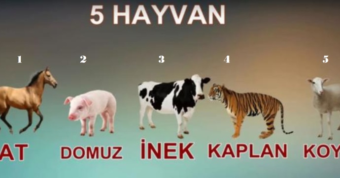Tibet Testi: Bu beş hayvanı hislerinize göre nasıl sıralarsınız?