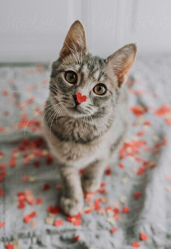 Yicemmm😻