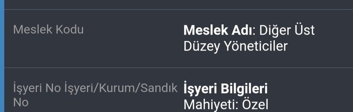 Kimler ne iş yapıyor, mesleğiniz nedir arkadaşlar ?