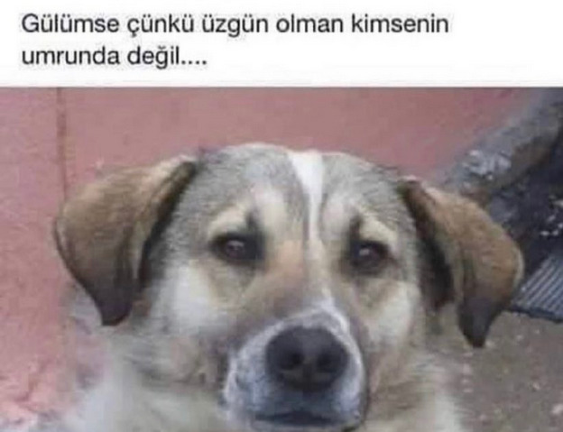 Selammm nasılsınız?