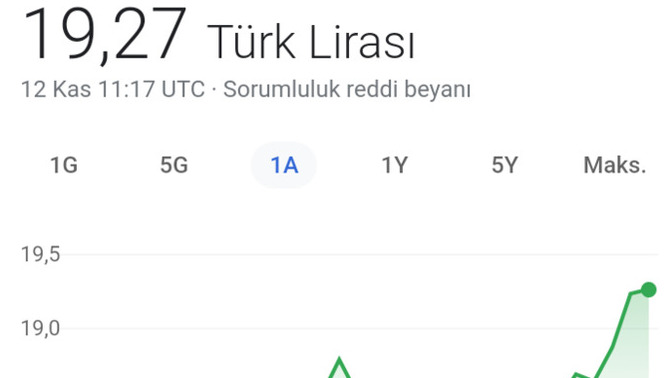 Şimdi 19,27 TL olan dolar, yılın başında 20 lirayı geçer mi?
