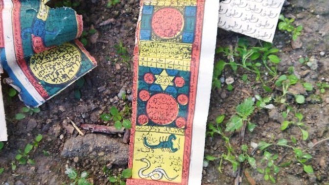 Arkadaslar bunlar evimin bahçesiden çikti anlamı ne?