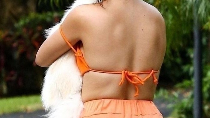 Zengin kadınlar evde neden hep köpek besliyor?