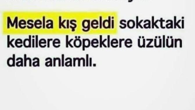 Kaşı gözü ayrı oynayan insanlara verilecek en güzel tepki nedir?