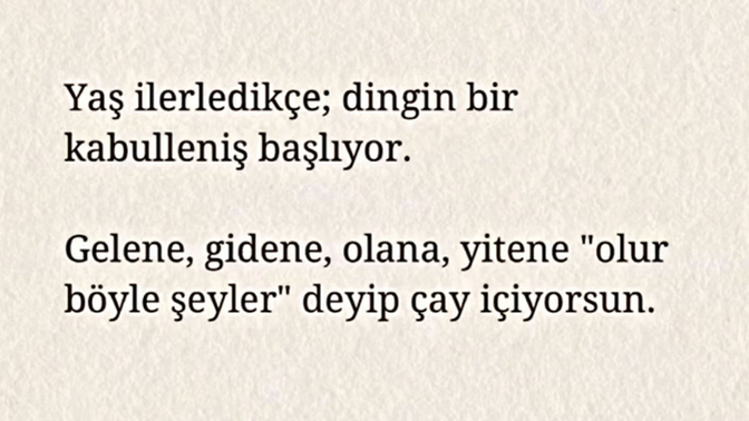 30-40 lı yaşlarda insanla mücadeleyi bırakıp, dingin bir kabulleniş yaşanıyor mu sizce de?