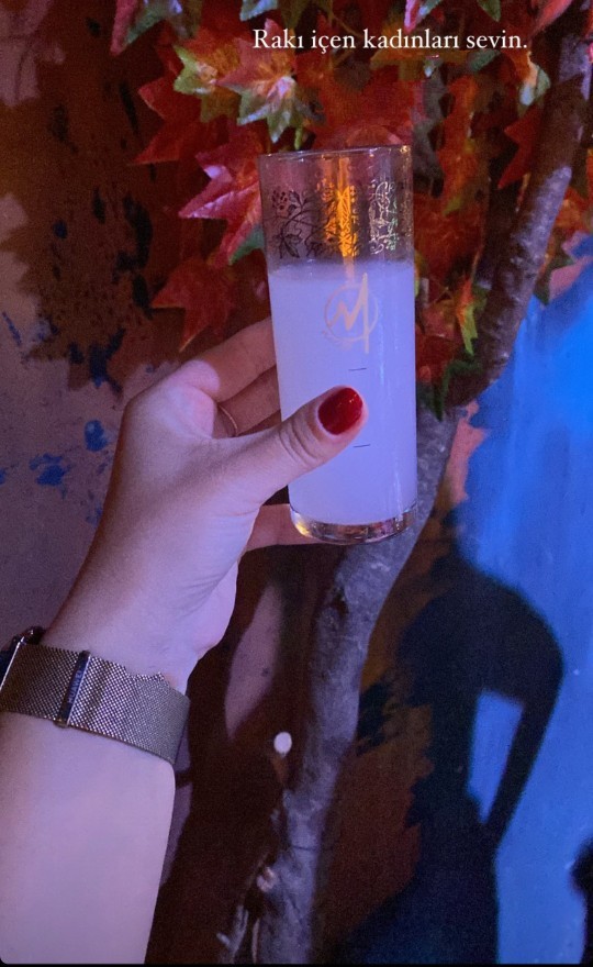 Rakı içen kadın sever misiniz yoksa itici mı gelir size?
