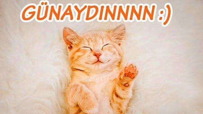 Günaydın, kimler günaydın mesajı aldı bu sabah?