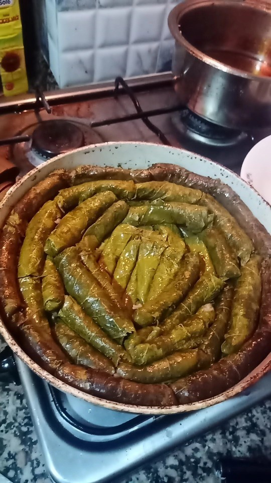 Öğrenci evinde hiç sarma yaptınız mı?