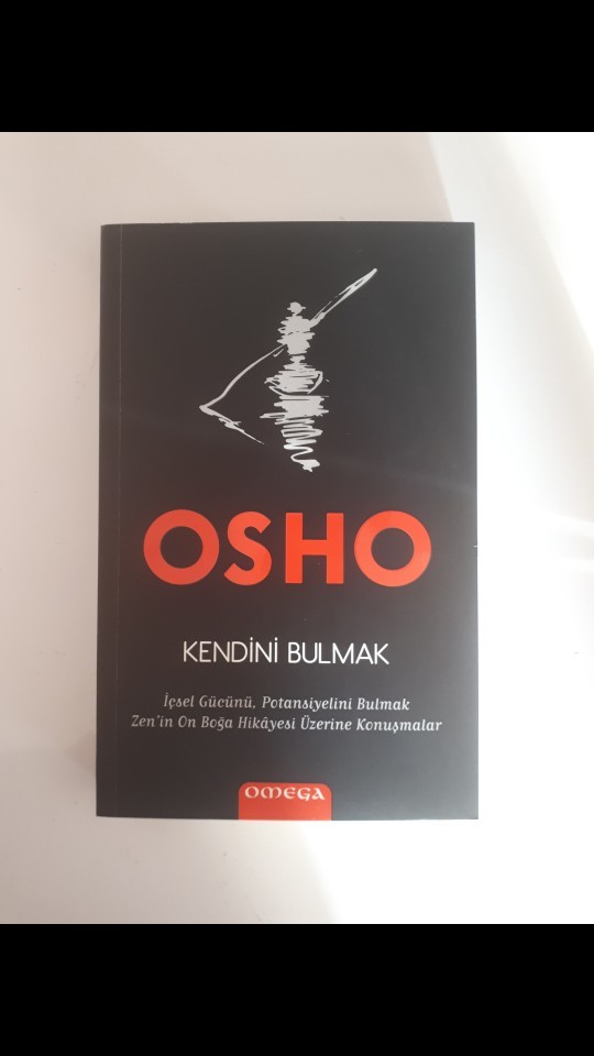 Şu an okuduğunuz bir kitap var mı?
