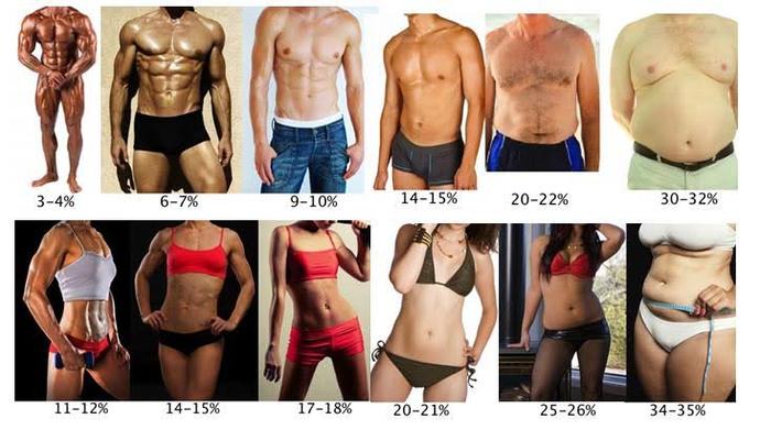 Resme göre yağ oranınız %de kaç?