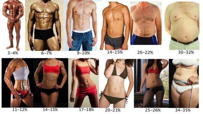 Resme göre yağ oranınız %'de kaç?