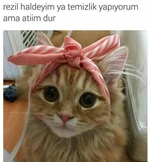 Temizlik yaparken sizden fotoğraf isteyen flört/sevgili/eşe fotoğrafınızı atar mısınız?