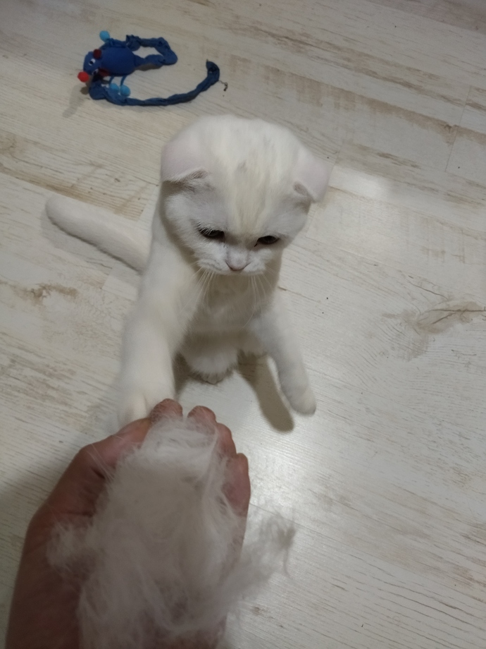Seni ne mutlu edebilir?