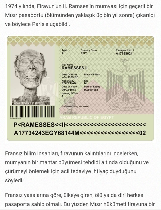 Pasaportunuz var mı? Fransada ülkeye giren ölüler için de pasaport çıkarıldığını biliyor muydunuz?