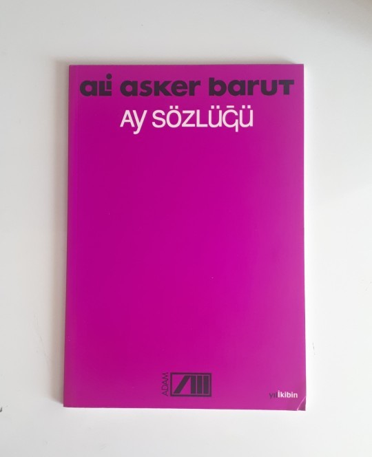 Yeni çıkan her kitabı hemen almak ister misiniz?
