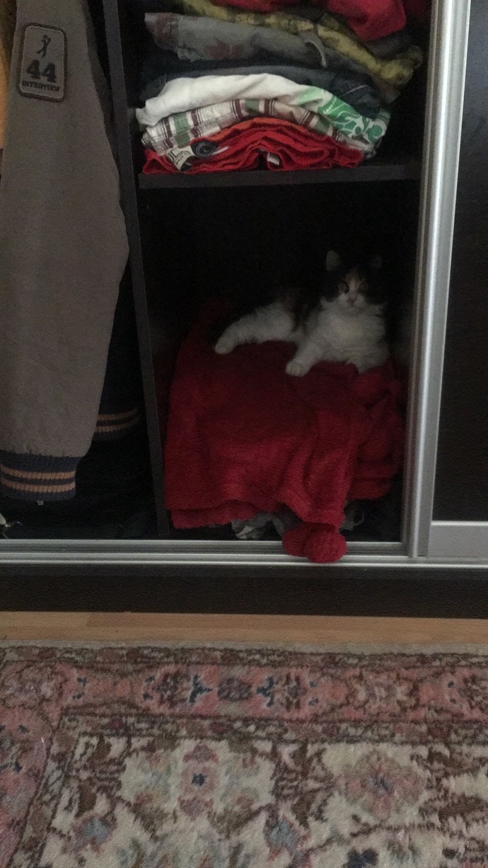 Kızım nasıl ablaları/abileri?
