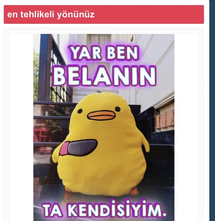 En tehlikeli yönünüz nedir?