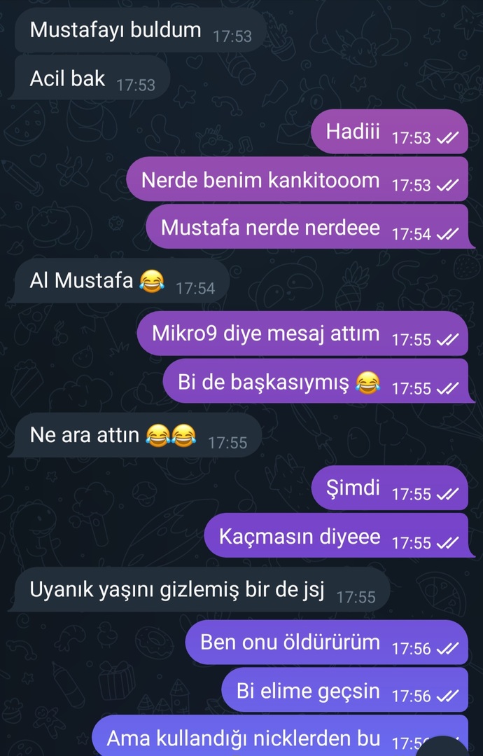 Giriş