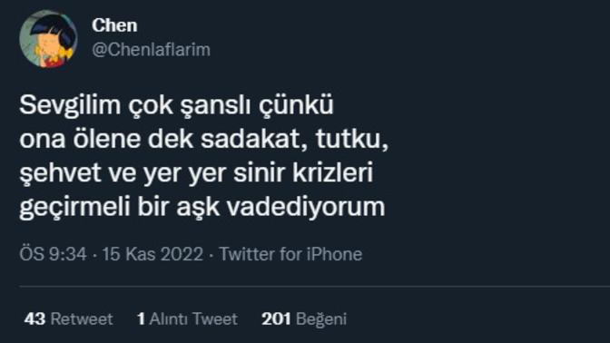 Sizin sevgiliniz/eşiniz olacak kişi hangi açıdan şanslı olur?