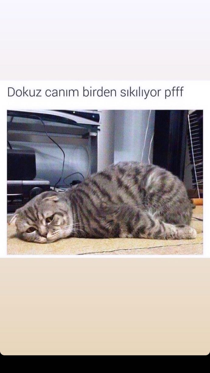 Haklıı...🙄