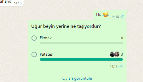 WhatsApp anket özelliğini yayınladı! Anket özelliğini nasıl buldun, kullanır mısın?