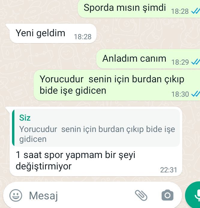 Dunku mesaja biraz kırıldım ben kötu bir şey yazmadım sadece onu düşündüğüm için sordum?
