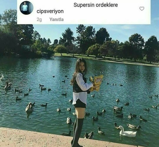 Ördekler cips yer mi?