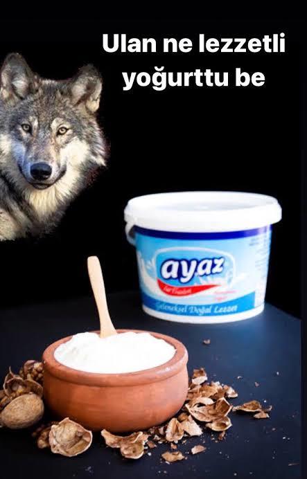 Yaşadığınız ilin neyi meşhur?