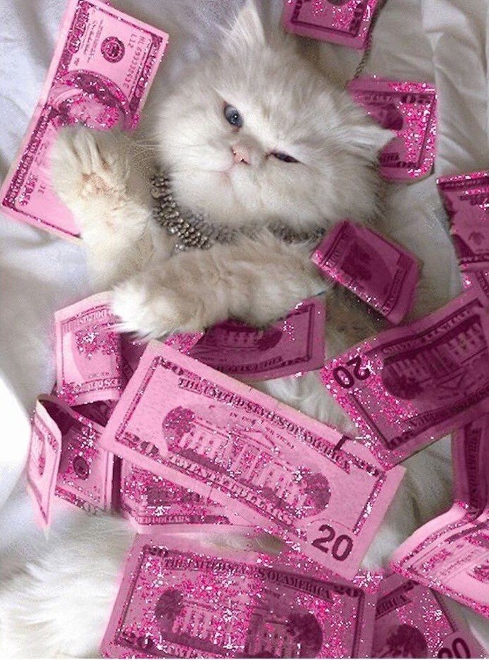 💵