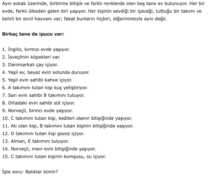 Einstein bilmecesi
