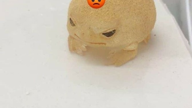 Kadın ve erkek eşit değildir bence, peki ya sizce?