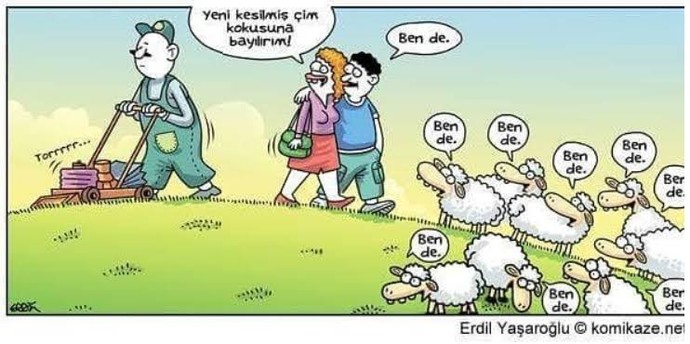 Sürü psikolojisine uyuyor musunuz?