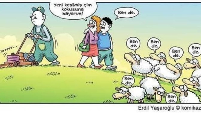 Sürü psikolojisine uyuyor musunuz?