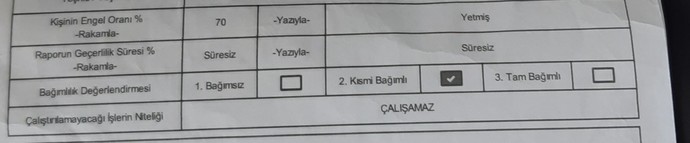 Engelli raporumda çalışamaz yazıyor. Bu herhangi bir işte bulunamam mı demek?